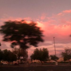 Meet your Posher, Terrence